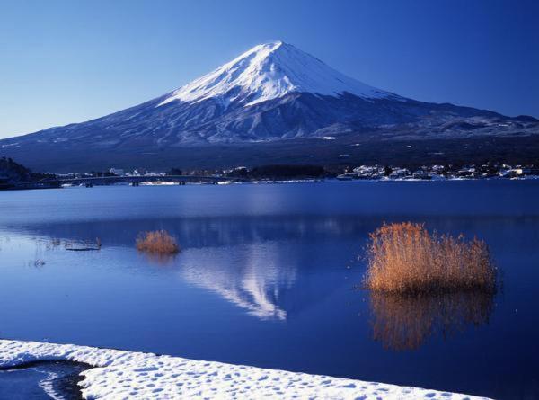 度假居 Kawaguchiko Superba Vista Annex